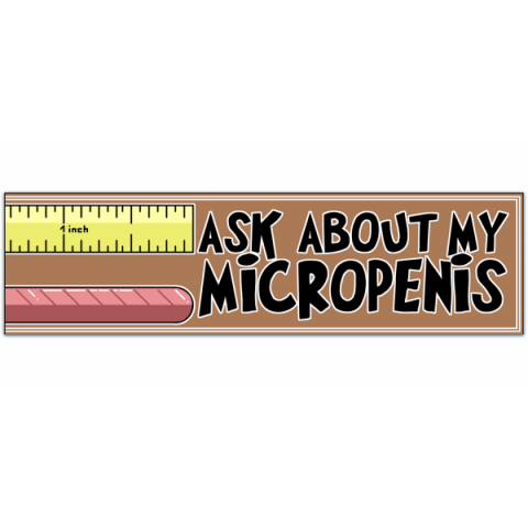 Prank Magnet, Ask About My Micropenis (Great For Funny Pranks, Gags, Practical Jokes) Bumper Sticker [01049]