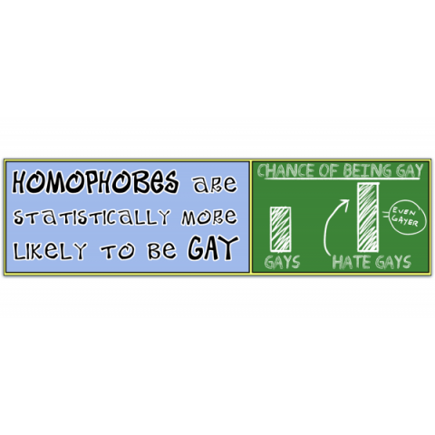 Homophobes Are Statistically More Likely to be Gay - Vinyl Bumper Sticker [01052]