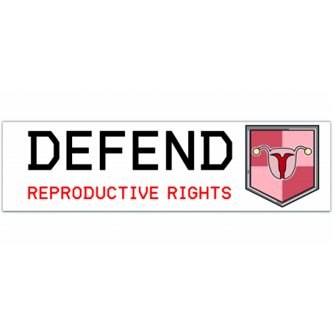 Defend Reproductive Rights - Vinyl Bumper Sticker [01077]