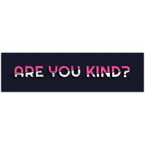 Are You Kind? GD Bumper Sticker [01118]