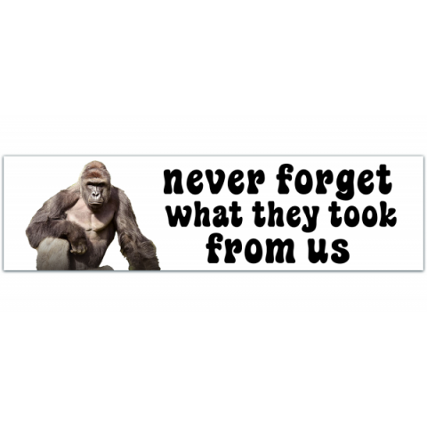 Never Forget What They Took From Us Bumper Sticker - Harambe [00112]