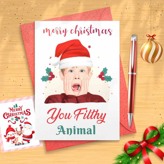 Funny Christmas Card, Kevin McCallister, Funny Christmas Card, Happy Holidays Card, Seasons Greetings, Christmas Card Set, Cute Xmas [00436]