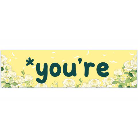 Grammar Police *You're Vinyl Decal Die Cut Rub-On Bumper Sticker Car Laptop Your [01224]