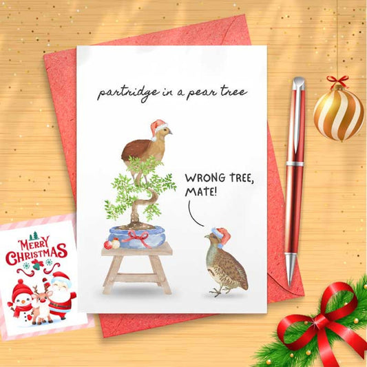 Partridge Christmas Card - Bird Holiday Card - Merry Christmas Card [01343]