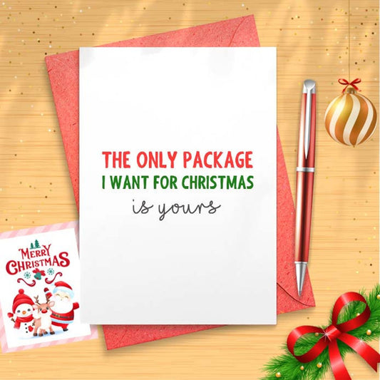 The Only Package I Want For Christmas Is Yours Card, Holiday Card, Sassy Christmas Card, Christmas Card, Romantic Christmas Card [01600]