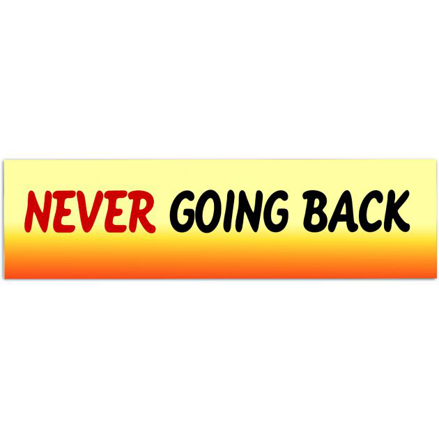 Never Going Back Pro Choice Car Decal/Sticker | Roe V. Wade | Women's Rights | Reproductive Rights | Never Again | Bumper Sticker Bumper Sticker [01633]