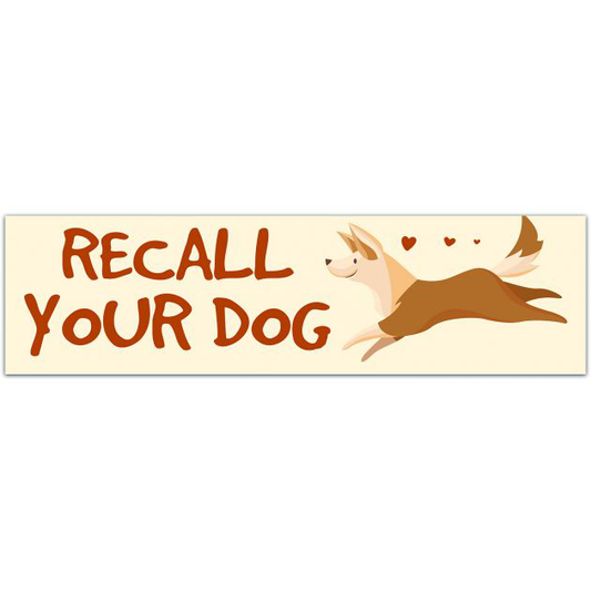 Recall Your Dog Sticker | Dog Training | Dog Trainer | Reactive Dog | Aggression | Fearful Bumper Sticker [01678]