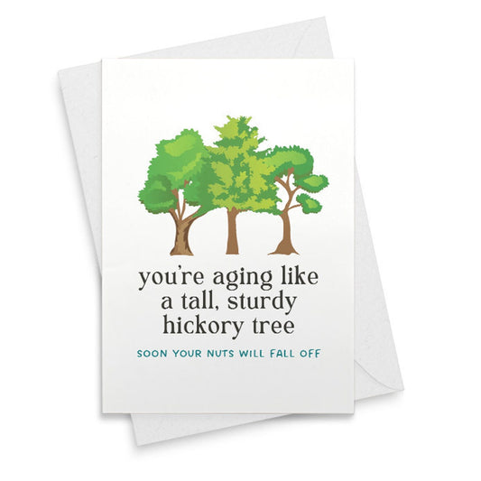 funny old man birthday greeting card, funny birthday card for him, man, getting older, card for dad or brother [02392]