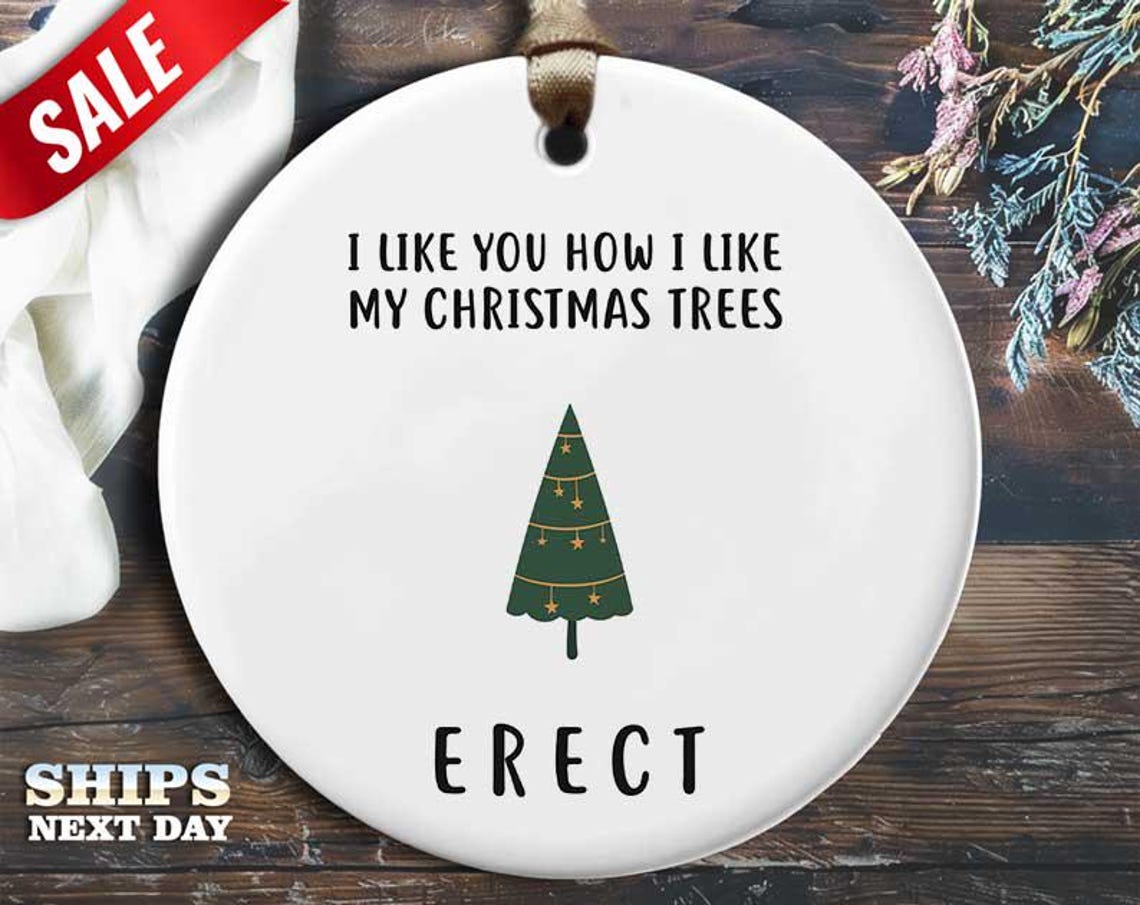 Funny Erect Tree Christmas Ornament - 'I like you how I like my Christmas trees. Erect.' - Humorous Naughty Holiday Gift, Unique [O261]