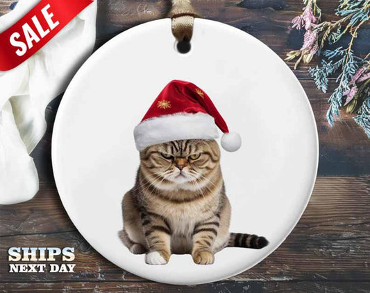 Angry Cat Christmas Ornament V5 - Funny Animal Decoration, Unique Holiday Gift, Christmas Tree Ornament [O26]