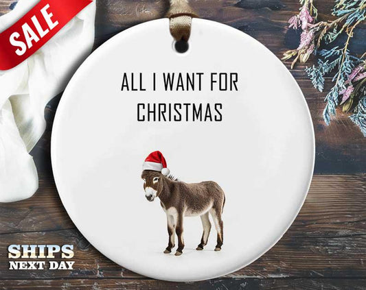 Funny Donkey Christmas Ornament - Donkey Wearing Christmas Hat - Humorous Animal Holiday Gift, Unique Christmas Tree Decoration [O251]