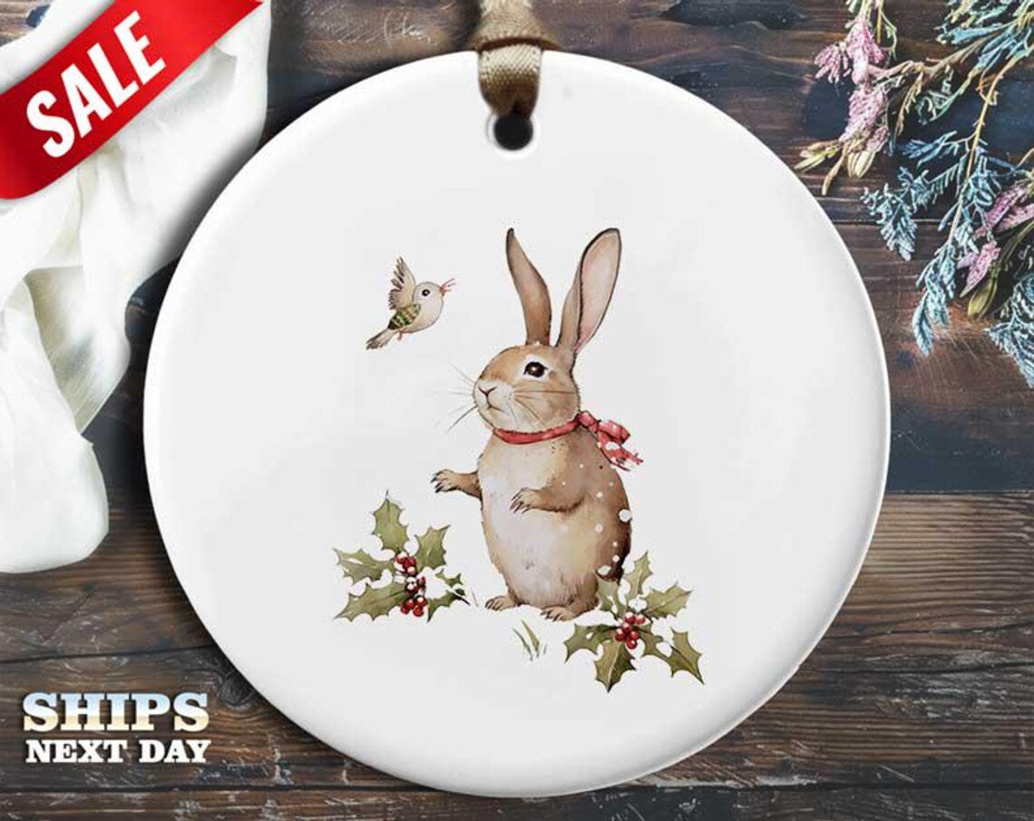 Cute Rabbit and Bird Christmas Ornament - Humorous Animal Holiday Gift, Unique Christmas Tree Decoration [O120]