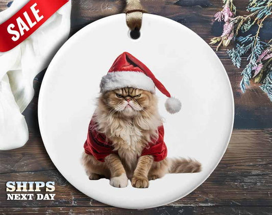 Angry Cat Christmas Ornament V3 - Funny Animal Decoration, Unique Holiday Gift, Christmas Tree Ornament [O24]