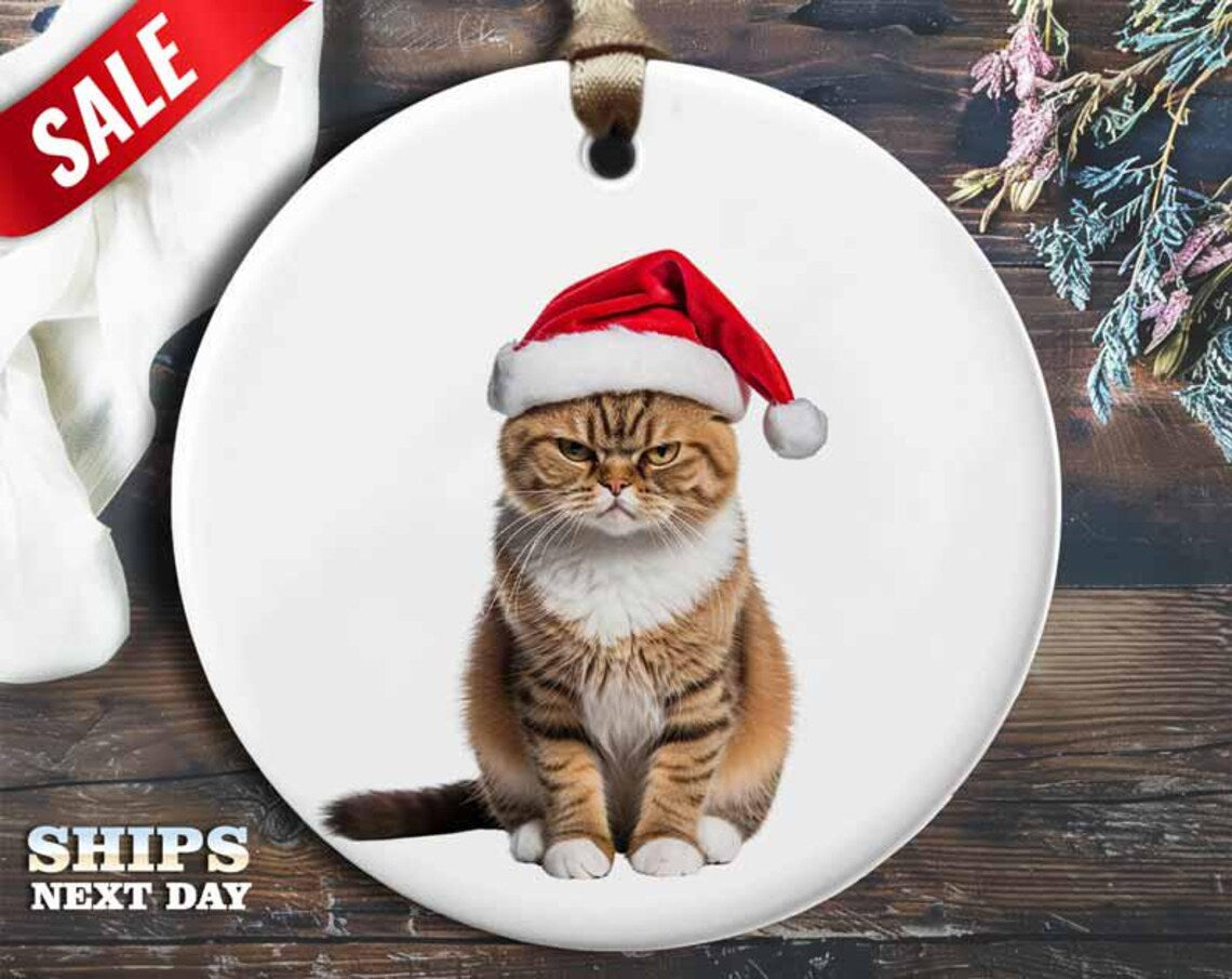 Angry Cat Christmas Ornament V4 - Funny Animal Decoration, Unique Holiday Gift, Christmas Tree Ornament [O25]