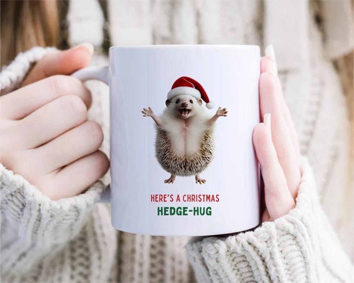 Hedgehog Christmas Mug, Christmas Mugs, Hedge-hug Mug, Hedgehog Gifts, Funny Holiday Mug, Funny Xmas Mugs, Funny Hedgehog Mug [MG83]