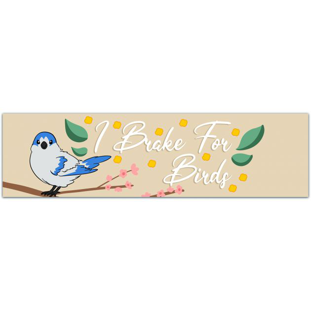 I Brake For Birds Bumper Sticker - Pink - Waterproof Vinyl Bumper Sticker [01971]