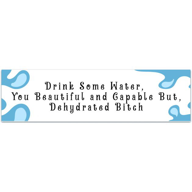 Drink Some Water Sticker, Water Bottle Sticker, Waterproof Vinyl, Funny Sticker, Hydrate Sticker, Water Reminder, Gifts For Friend, Die Cut Bumper Sticker [02023]