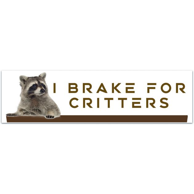 I Brake For Critters Bumper Sticker | Cute Animal Bumper Sticker | I Stop For Wildlife Car Sticker | Purple And Teal Cute Bumper Sticker Bumper Sticker [02027]