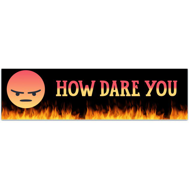 How Dare You | Funny Sticker | Joke | Mood Sticker | L Laminated Sticker | Funny Meme Sticker | Gifts Under 5 | Cute Laptop Sticker Bumper Sticker [02040]