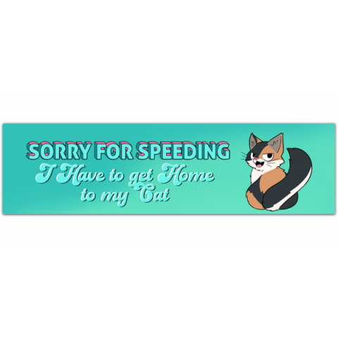 Funny Bumper Sticker - Sorry For Speeding, I Have To Get Home To My Cat - Cat Lady Bumper Sticker, Cat Car Decal, Car Sticker, I Love My Cat [00208]