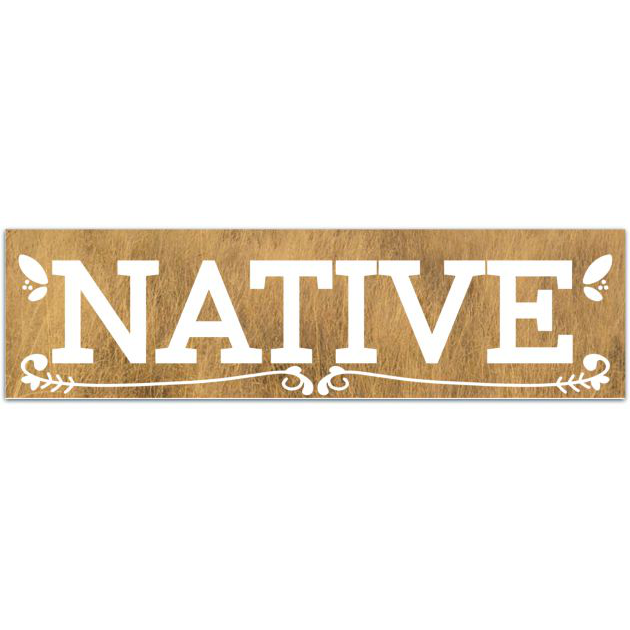 NH Native Vinyl Decal | Water Bottle Decal | Car Window Decal | Laptop Decal Bumper Sticker [02129]