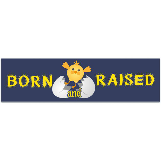 Born & Raised In Idaho Sticker Bumper Sticker [02194]