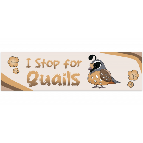 Quail Bumper Sticker, Quail Sticker, Stickers For Car, Bumper Stickers, Waterproof Stickers, Stickers [00240]