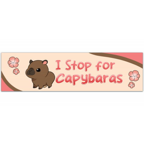 Capybara Bumper Sticker, Funny Capybara Sticker, Stickers For Car, Bumper Stickers, Waterproof Stickers, Stickers [00244]