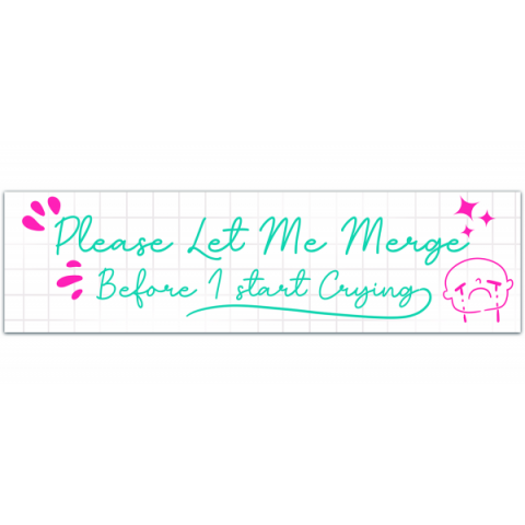 Please Let Me Merge Before I Start Crying Decal/Funny Bumper Sticker/New Driver Gift [00283]