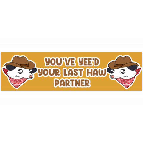 Cowboy Possum Sticker | You've yee'd your last haw | Possum Sticker | Sticker for Laptop | Funny Stickers [00327]