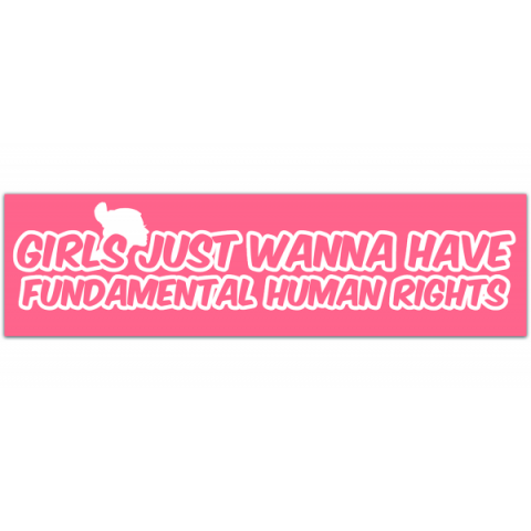 Girls Just Want to Have Fun(damental Human Rights), Feminist Stickers, Bumper Stickers [00334]