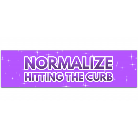 Normalize Hitting the Curb! Cute Y2K Vibes Funny Pink Aesthetic Gen z Meme Bumper Sticker Car Vehicle Vinyl Decal [00335]