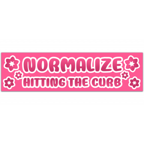 Normalize Hitting The Curb Decal/Funny Bumper Sticker/Funny Gift / [00344]