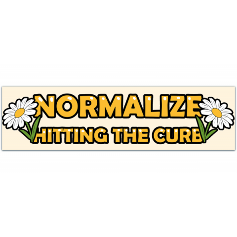 Normalize Hitting The Curb! Funny Cute Gen Z Meme Car Vehicle Bumper Sticker [00349]