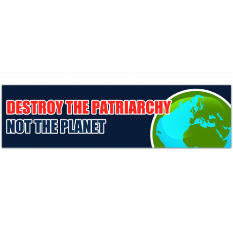 Destroy the Patriarchy Not the Planet Bumper Sticker [00392]