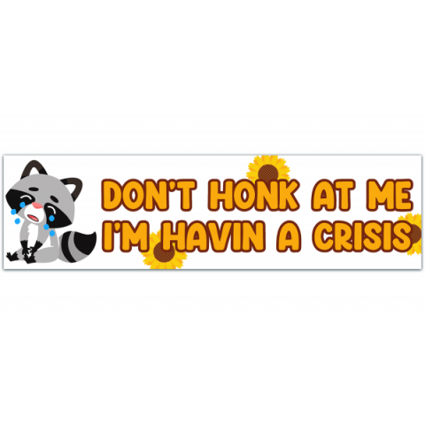 Havin' A Crisis Bumper Sticker, Gen Z Bumper Stickers, Bumper Stickers Funny, Mental Health Gifts, Sticker Decal For Car [00398]