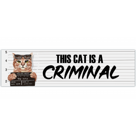 Cat bumper sticker, Criminal Cat funny vinyl stickers for cars, car decal for gen z [00432]