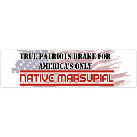 Possum Sticker - I brake for America's only native marsupial - Funny Opossum Weather Resistant Bumper Sticker - I brake for possums [00450]