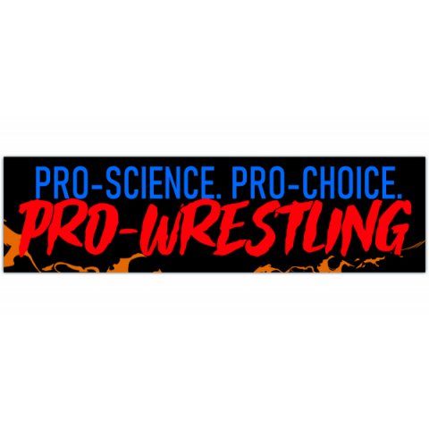 Pro-Choice Pro-Wrestling Bumper Sticker - Funny Vintage Style - Vinyl Decal 90s [00454]