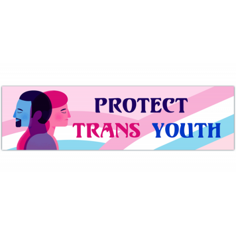 Protect Trans Kids Bumper Sticker [00486]