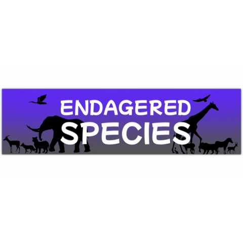 Endangered Species Bumper Stickers [00494]