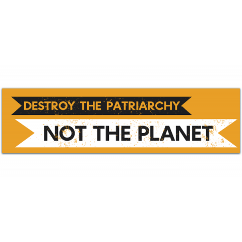 DESTROY the PATRIARCHY, not the PLANET - Vinyl Bumper Sticker [00541]