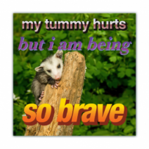 My Tummy Hurts But I Am Being So Brave - Opossum - Funny Bumper Stickers [00604]