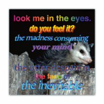 Look Me In The Eyes. Do You Feel It? The Madness Consuming Your Mind, The Utter Despair In The Face Of The Inevitable - Opossum - Funny Bumper Stickers [00605]