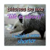 B**hes Be Like 'life Is Short!, I Wish It Were Shorter - Opossum - Funny [00609]