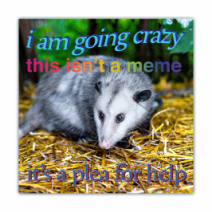 I Am Going Crazy This Isn't A Meme, It's A Plea For Help - Opossum - Funny Bumper Stickers [00612]