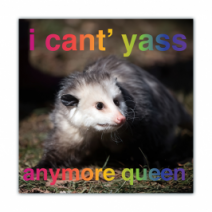 I Can't Yass, Anymore Queen - Opossum/Possum - Funny Bumper Stickers [00613]