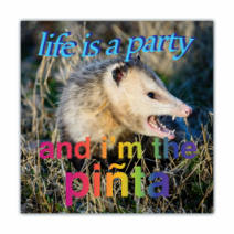 Life Is A Party, And I Am The Pi?ta - Opossum/Possum - Funny Bumper Stickers [00622]