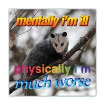 Mentally I'm Ill, Physically I'm Much Worse - Opossum/Possum - Funny Bumper Stickers [00623]