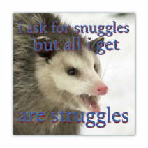 I Ask For Snuggles But All I Get, Are Struggles - Opossum/Possum - Funny Bumper Stickers [00625]